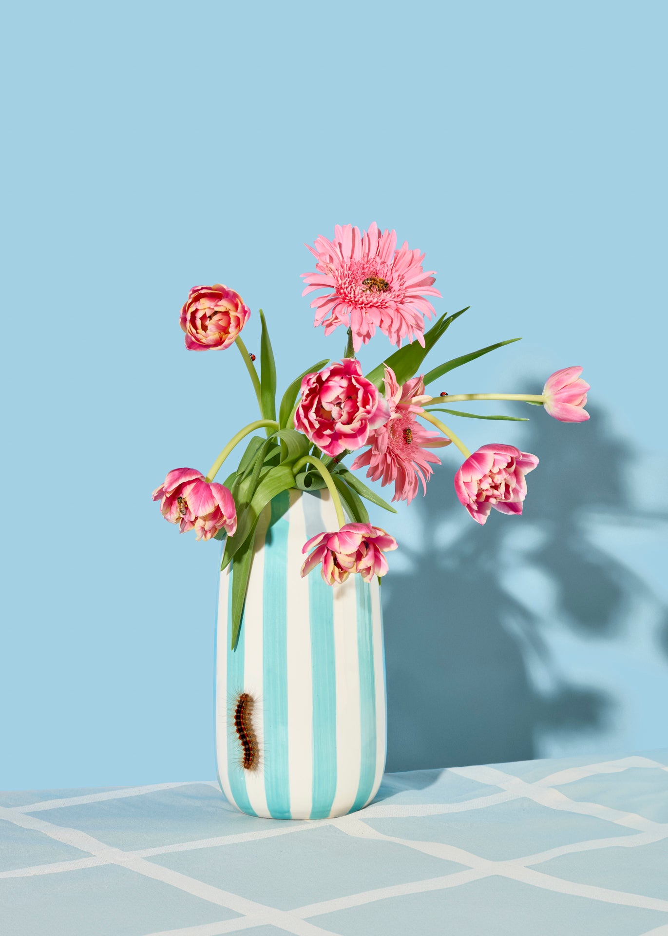 Flowers and Insects