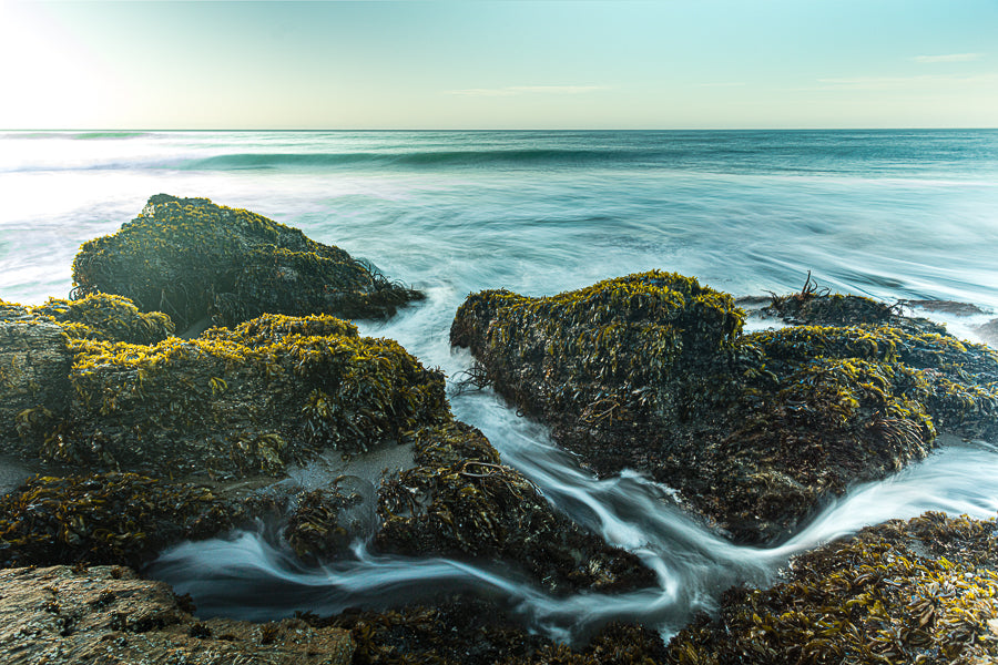 The Sound of Sea
