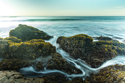 The Sound of Sea